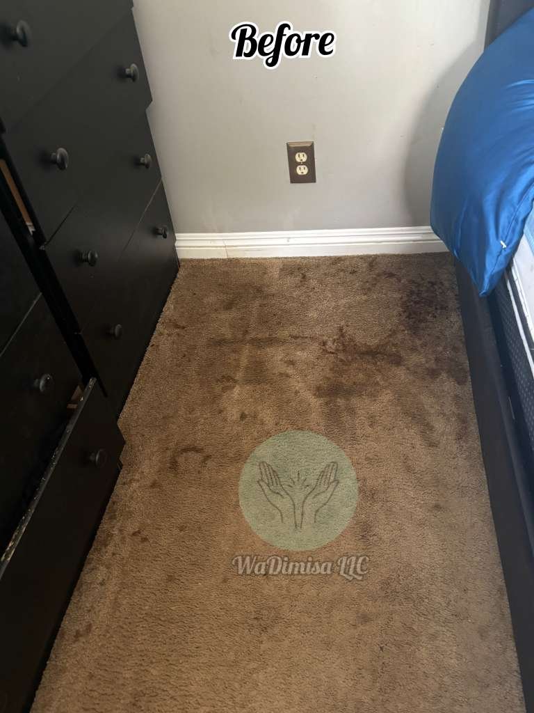 WhatsApp Image 2026-01-20 at 7.55.37 PM