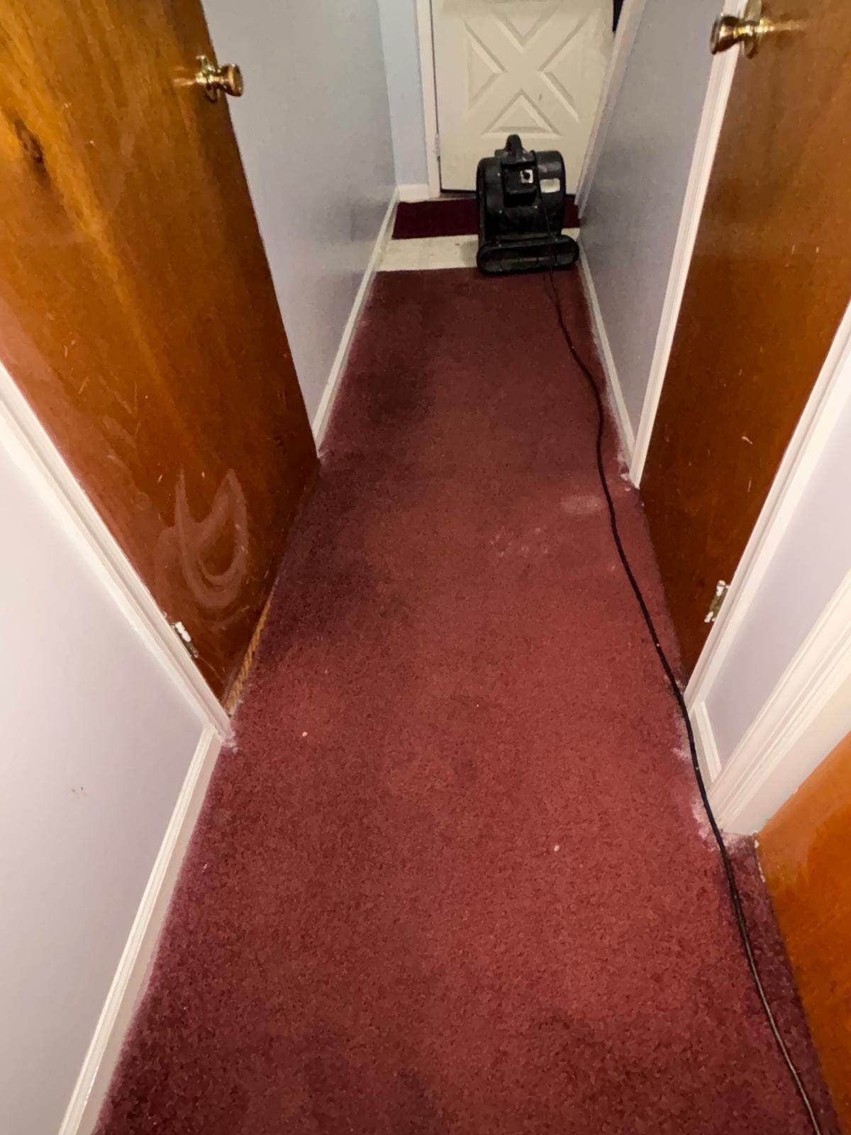 WhatsApp Image 2026-01-21 at 10.53.49 AM (1)