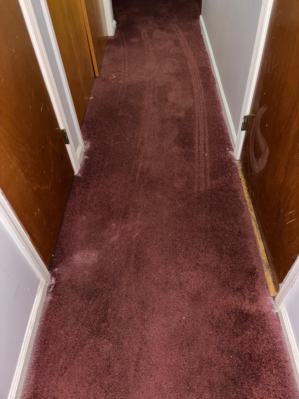 WhatsApp Image 2026-01-21 at 10.53.49 AM (2)