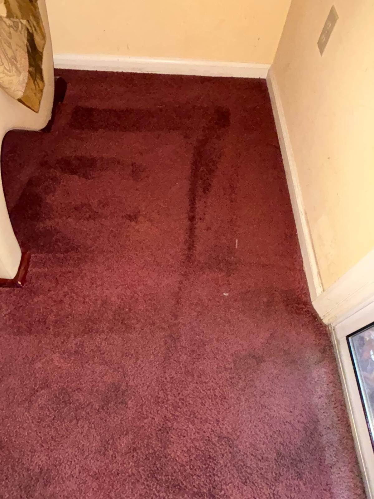 WhatsApp Image 2026-01-21 at 10.53.49 AM