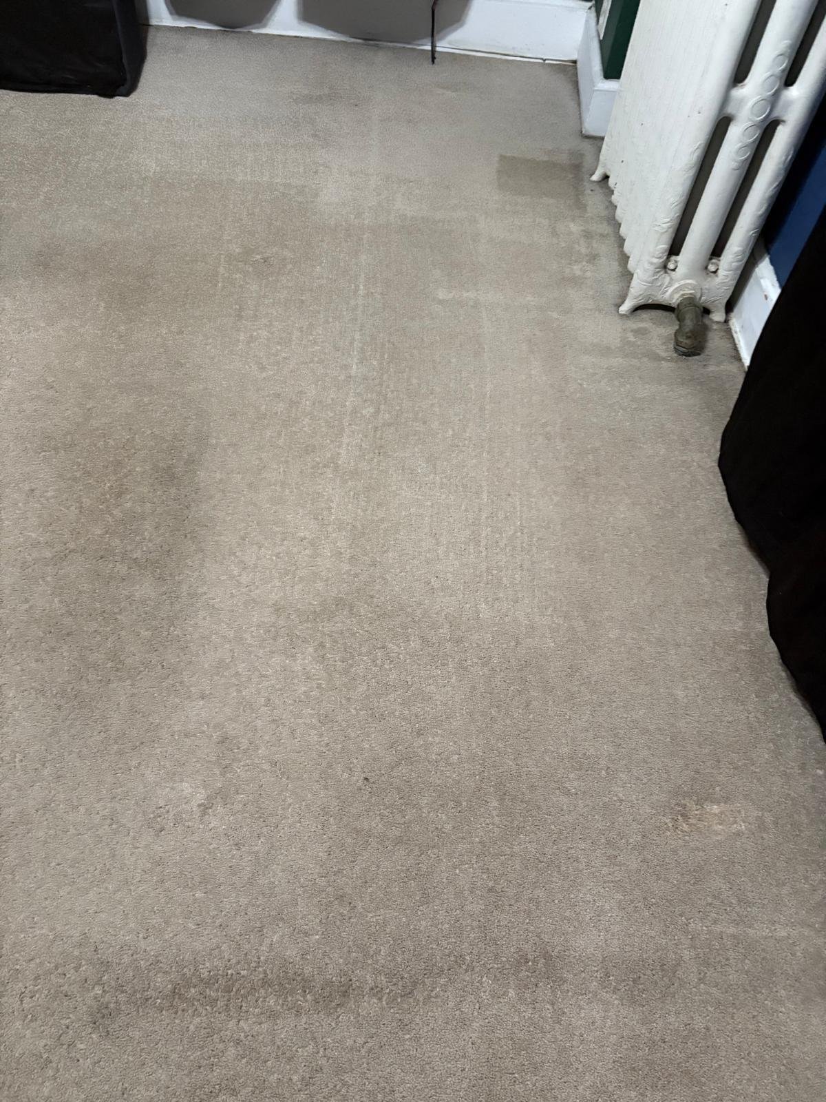 WhatsApp Image 2026-01-21 at 10.55.43 AM