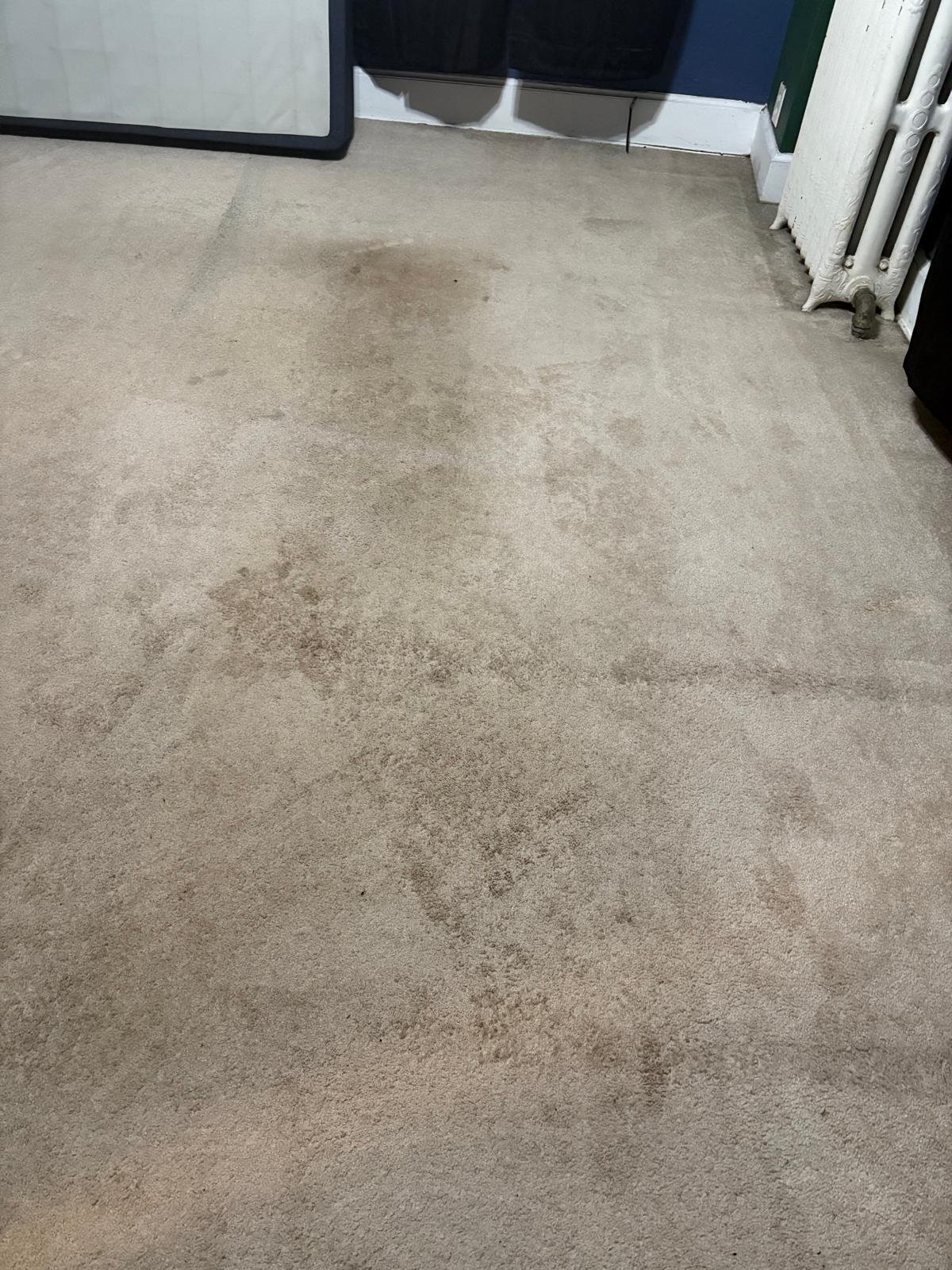 WhatsApp Image 2026-01-21 at 10.55.44 AM